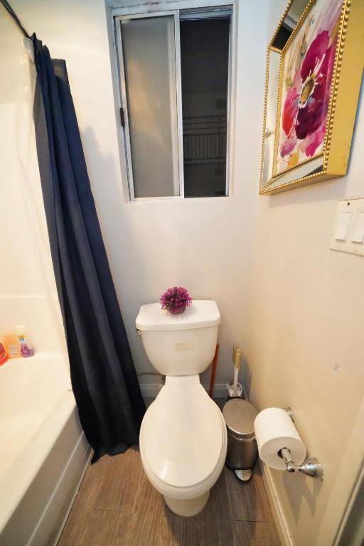 Charming Hollywood With Pool & Balcony Appartement *
